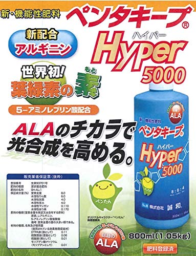 ペンタキープ Hyper 5000 ※1本 Amazon.co.jp: ペンタキープ ハイパー Hyper 5000 800ml (1.05kg